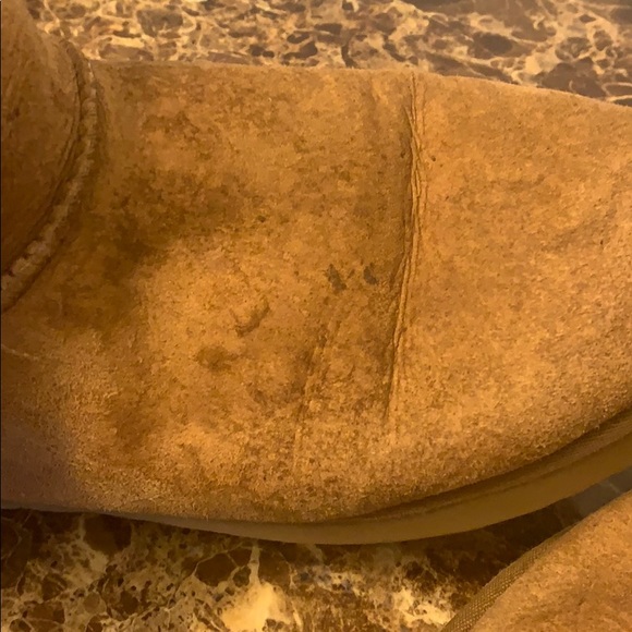 Chestnut Bailey Button - Picture 5 of 6